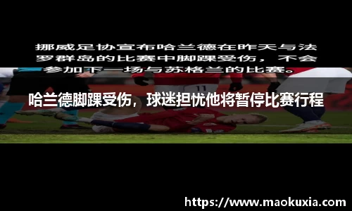 RAYBET雷竞技官网