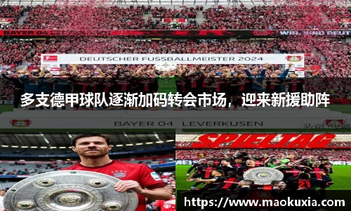 RAYBET雷竞技下载