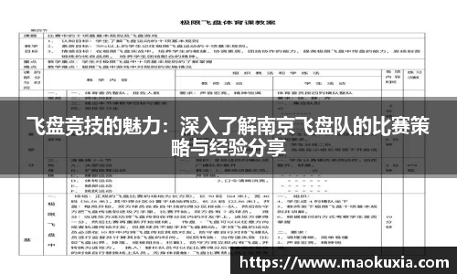 飞盘竞技的魅力：深入了解南京飞盘队的比赛策略与经验分享