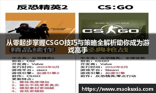 RAYBET雷竞技网址