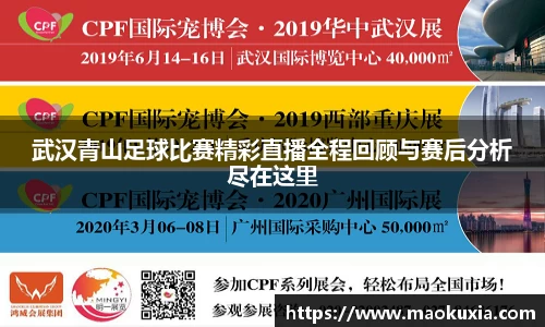 RAYBET雷竞技官网