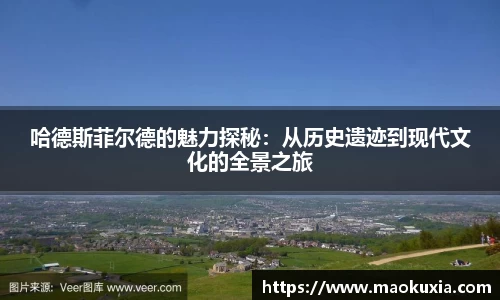 RAYBET雷竞技官网